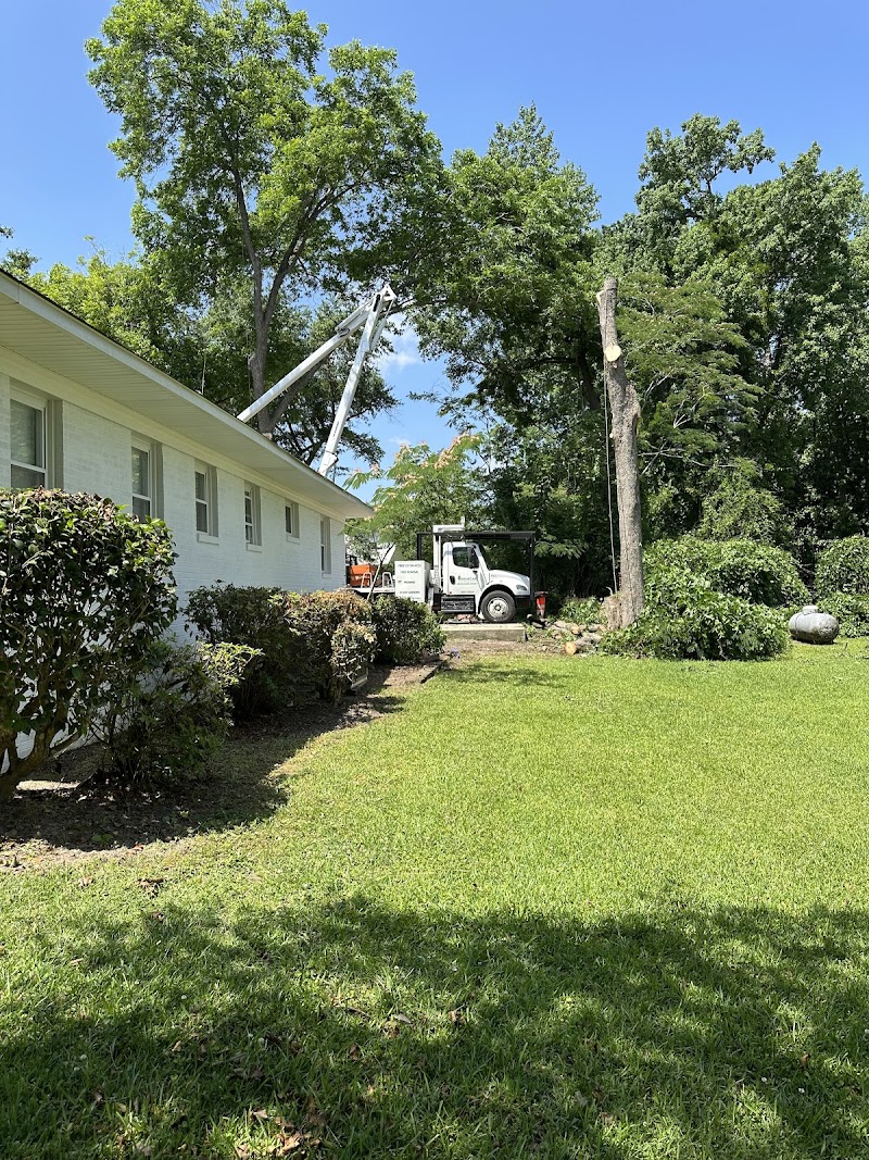 ArborCare Tree Management — photo 2 of tree service in Holly Ridge, NC