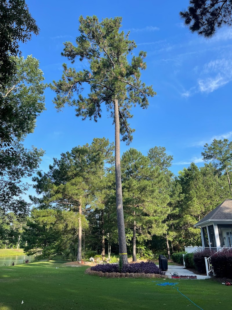 Campbell's Tree Service, LLC — photo 2 of tree service in Rocky Point, NC