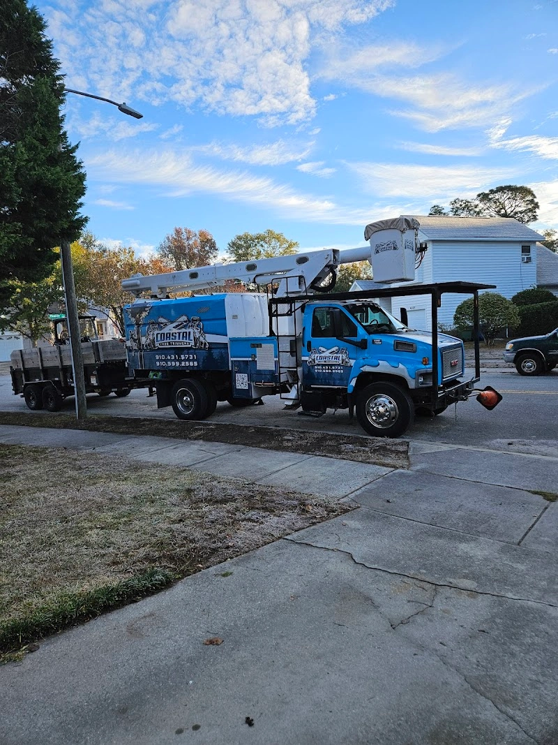 Coastal Tree Trimmers tree service in Wilmington, NC