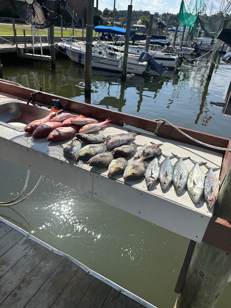Dock Shocker Fishing Charters — photo 2 of fishing charter in Sneads Ferry, NC