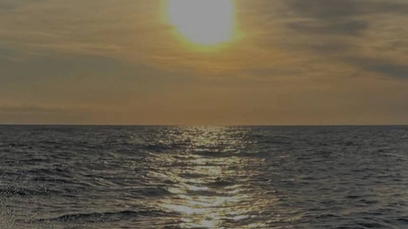 Drifter Sportfishing and Charters fishing charter in Sneads Ferry, NC — Topsail Island