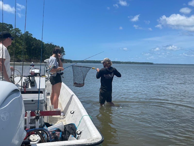Drifter Sportfishing and Charters — photo 2 of fishing charter in Sneads Ferry, NC