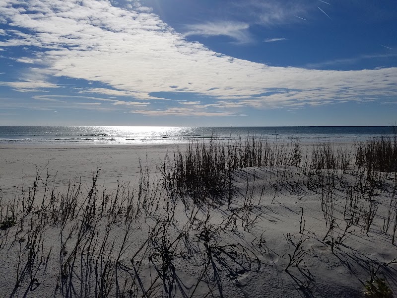 Ecological Marine Adventures — photo 2 of attraction in Surf City, NC