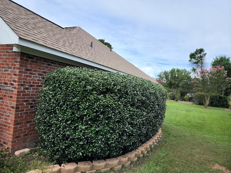 Eric's Lawncare LLC — photo 2 of landscaping services in Hampstead, NC