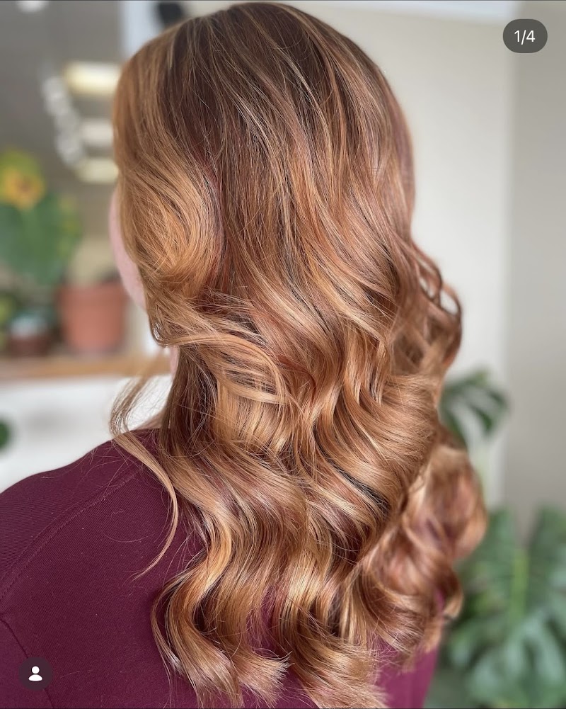 Fiddlehead Hair Studio