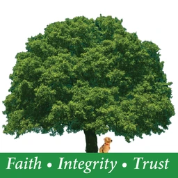 FIT Financials logo — Financial Services in Hampstead, NC