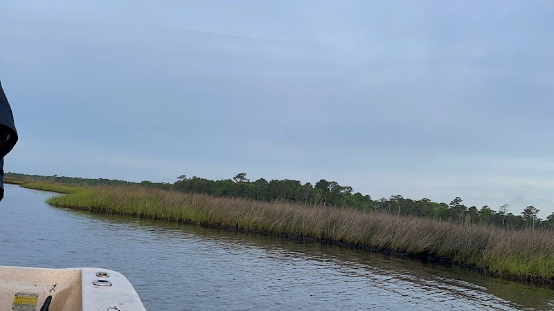gottafly Guide Service — photo 2 of fishing charter in Topsail Beach, NC