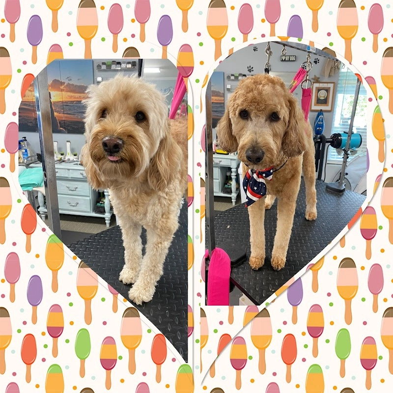Harmony Pet Spa pet services in Holly Ridge, NC