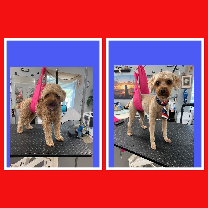 Harmony Pet Spa — photo 2 of pet services in Holly Ridge, NC