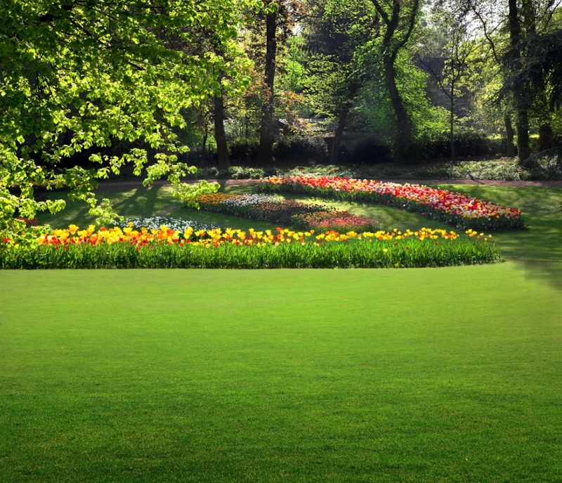 Holly Greens Minded Landscaping & Lawn Care LLC landscaping services in Holly Ridge, NC