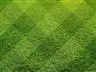 Holly Ridge Lawn Care - from website