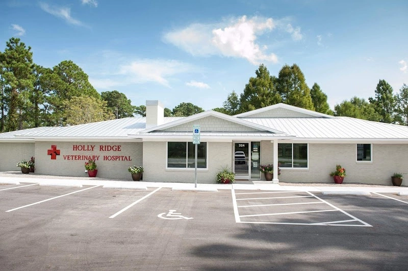 Holly Ridge Veterinary Hospital pet services in Holly Ridge, NC