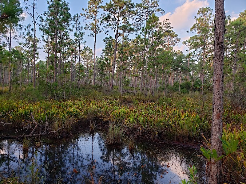 Holly Shelter Game Land — photo 2 of attraction in Hampstead, NC