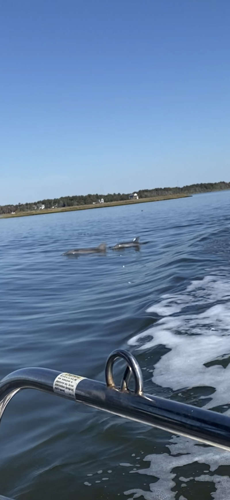 Intracoastal Cruises, LLC — photo 2 of boat tours in Sneads Ferry, NC
