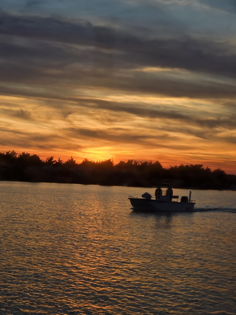 Lady Swan Boat Tours — photo 2 of boat tours in Sneads Ferry, NC