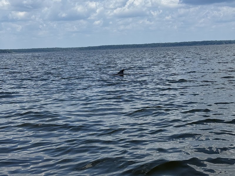 New River Boat Tours — photo 2 of attraction in Sneads Ferry, NC