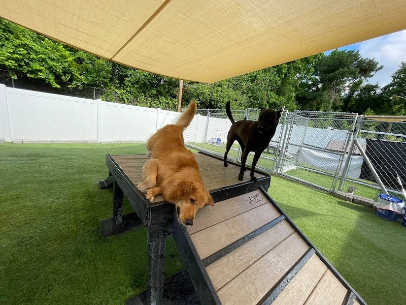 North Shore Pawville - Pet Boarding, Grooming, Daycare, Training pet services in Sneads Ferry, NC
