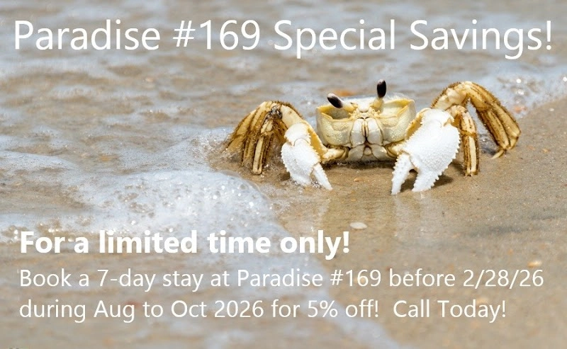 Paradise #169 at North Topsail Beach vacation rentals in North Topsail Beach, NC — Topsail Island