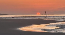 Pellom's Perch logo — Vacation Rentals in North Topsail Beach, NC