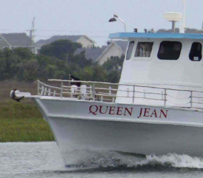 Queen Jean Charter — photo 2 of fishing charter in Topsail Beach, NC