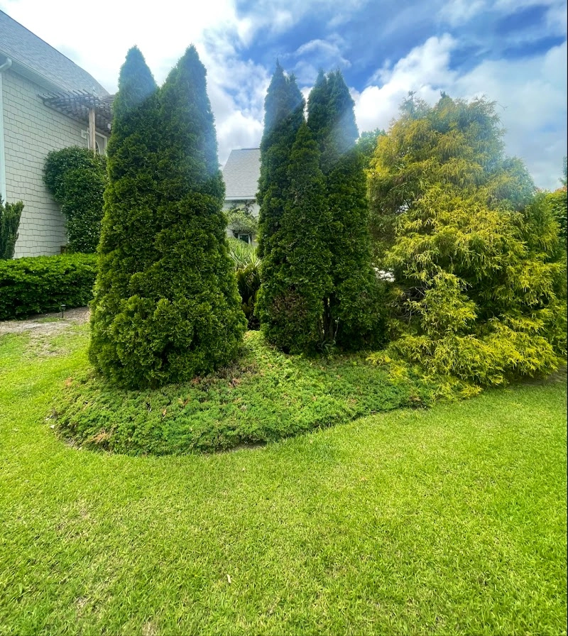 Red White & Blue Lawn Care landscaping services in Sneads Ferry, NC