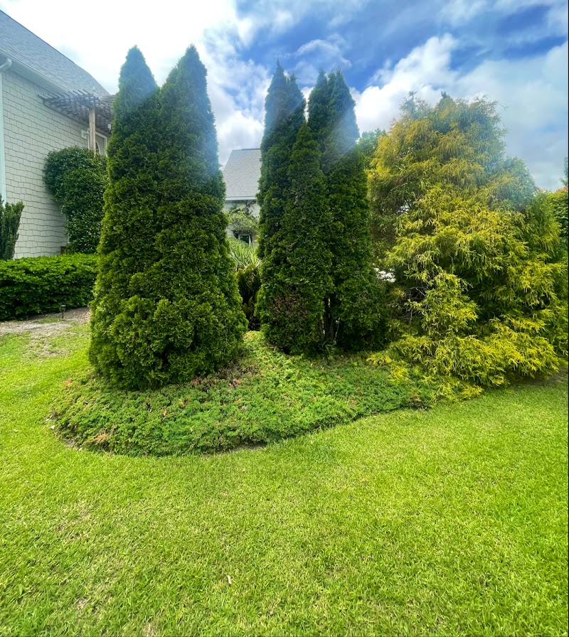 Red White & Blue Lawn Care