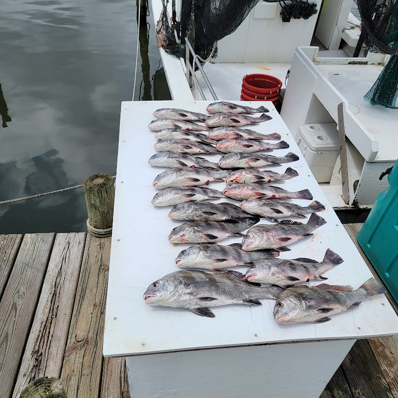 Reel Livin Fishing Charters — photo 2 of fishing charter in Sneads Ferry, NC