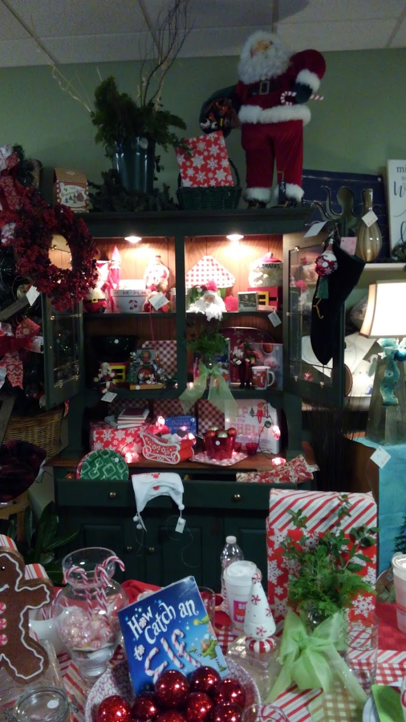 Safe Haven of Pender Inc — photo 2 of shop in Hampstead, NC