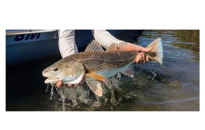 Salt Sessions Fishing & Surf Adventures fishing charter in North Topsail Beach, NC — Topsail Island