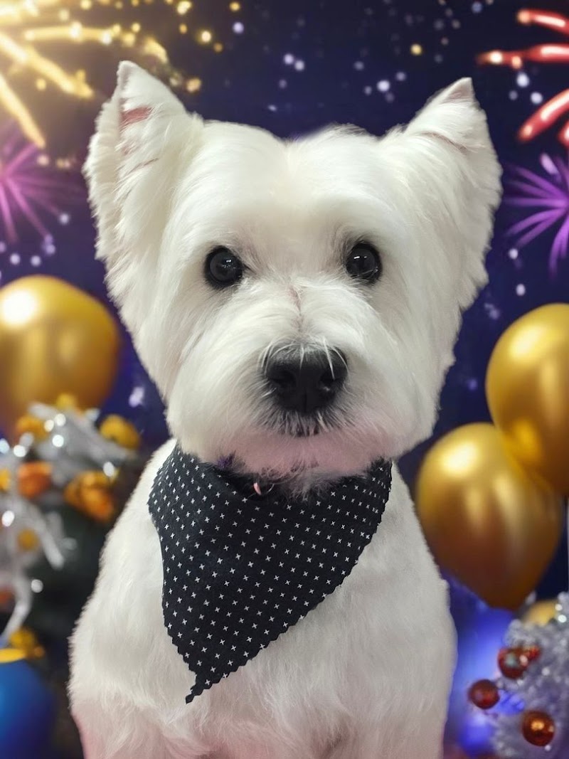 Serenity Transfurmations Pet Spa — photo 2 of pet services in Hampstead, NC