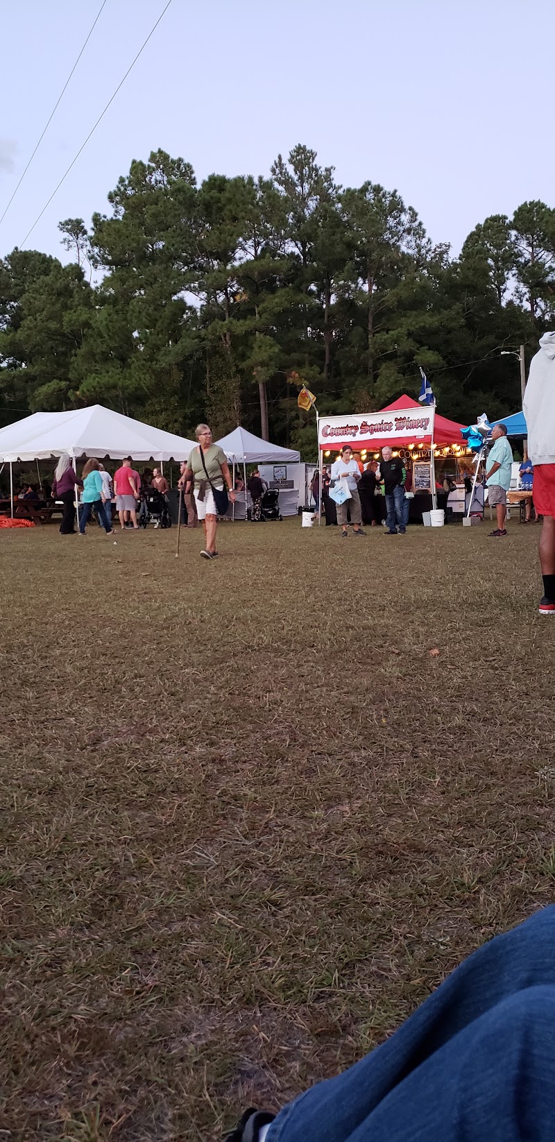 Sneads Ferry Shrimp Festival — photo 2 of attraction in Sneads Ferry, NC