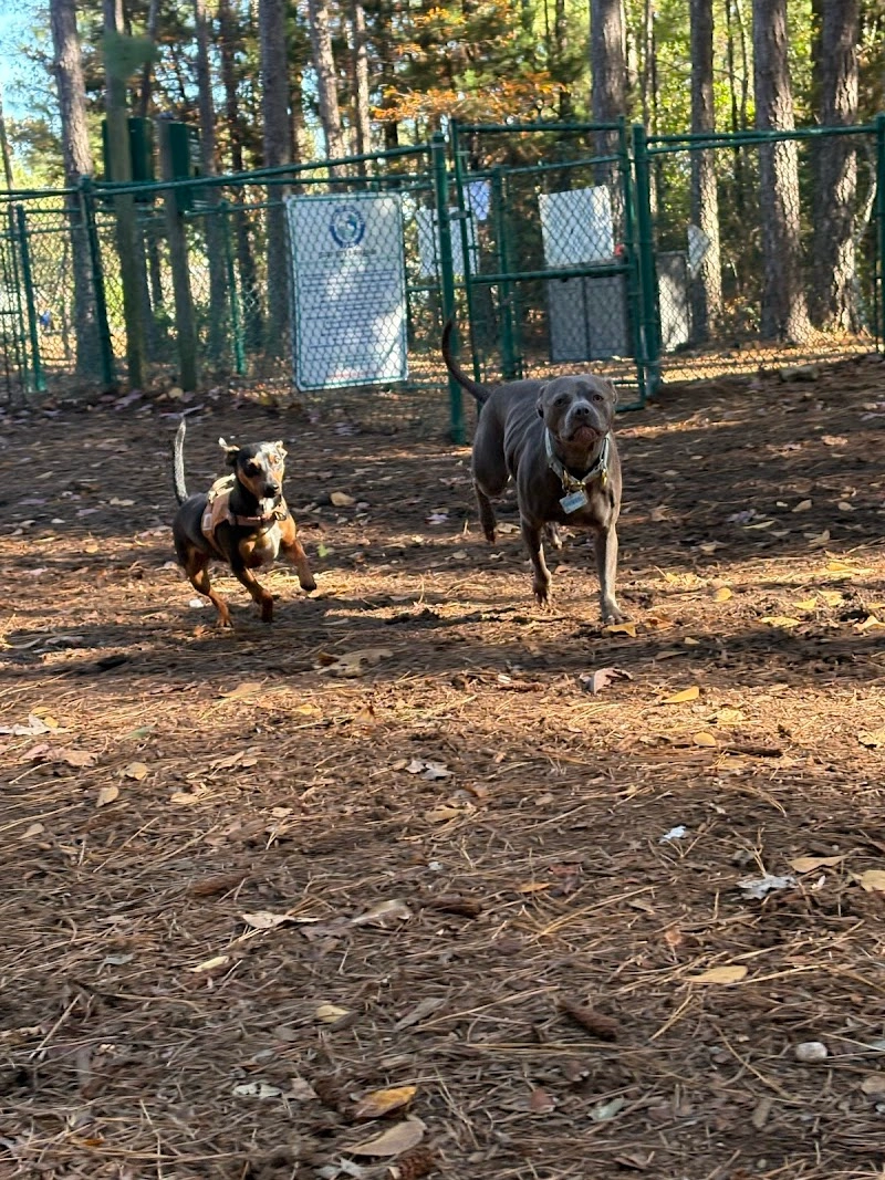 Surf City Bark Park pet services in Surf City, NC