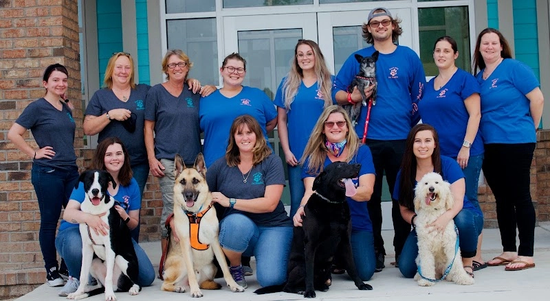 Surf City Pet Hospital pet services in Surf City, NC