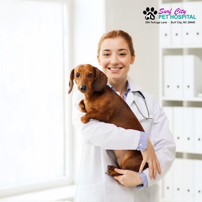 Surf City Pet Hospital — photo 2 of pet services in Surf City, NC