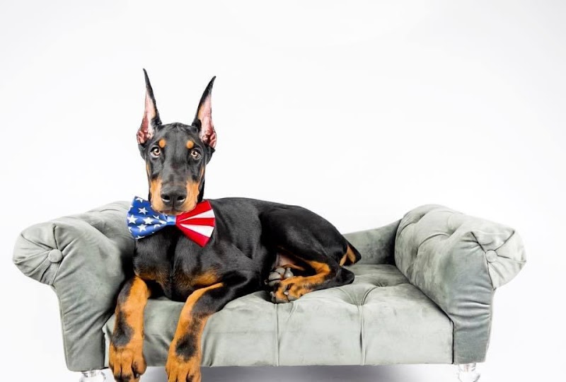 The Groom Room Pet Parlor