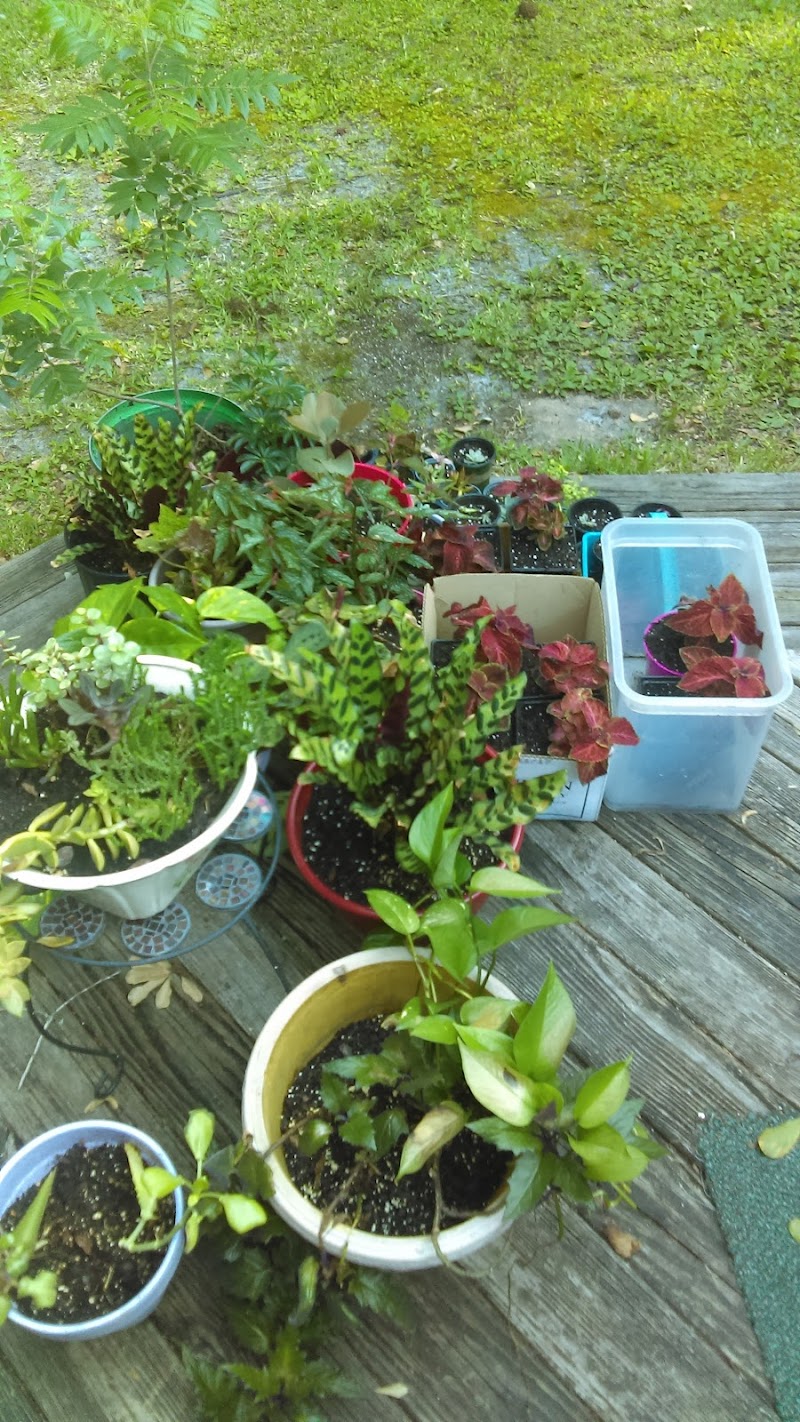 Tim's Heating &amp; Air Conditioning