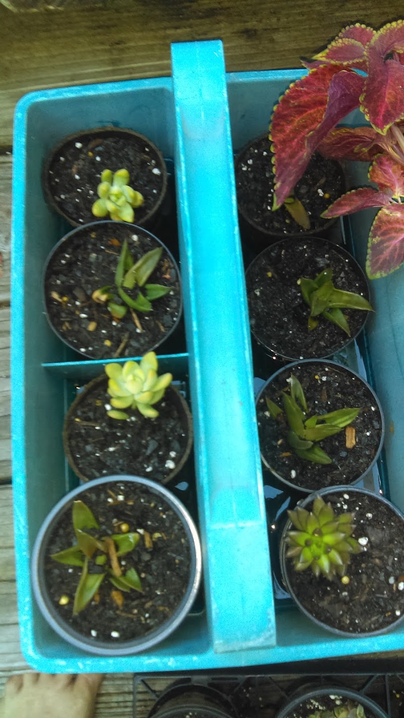 Tim's Heating & Air Conditioning — photo 2 of HVAC services in Hampstead, NC