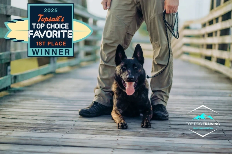 TOP Dog Training LLC - from website