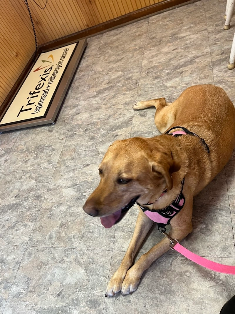 Topsail Animal Hospital pet services in Hampstead, NC