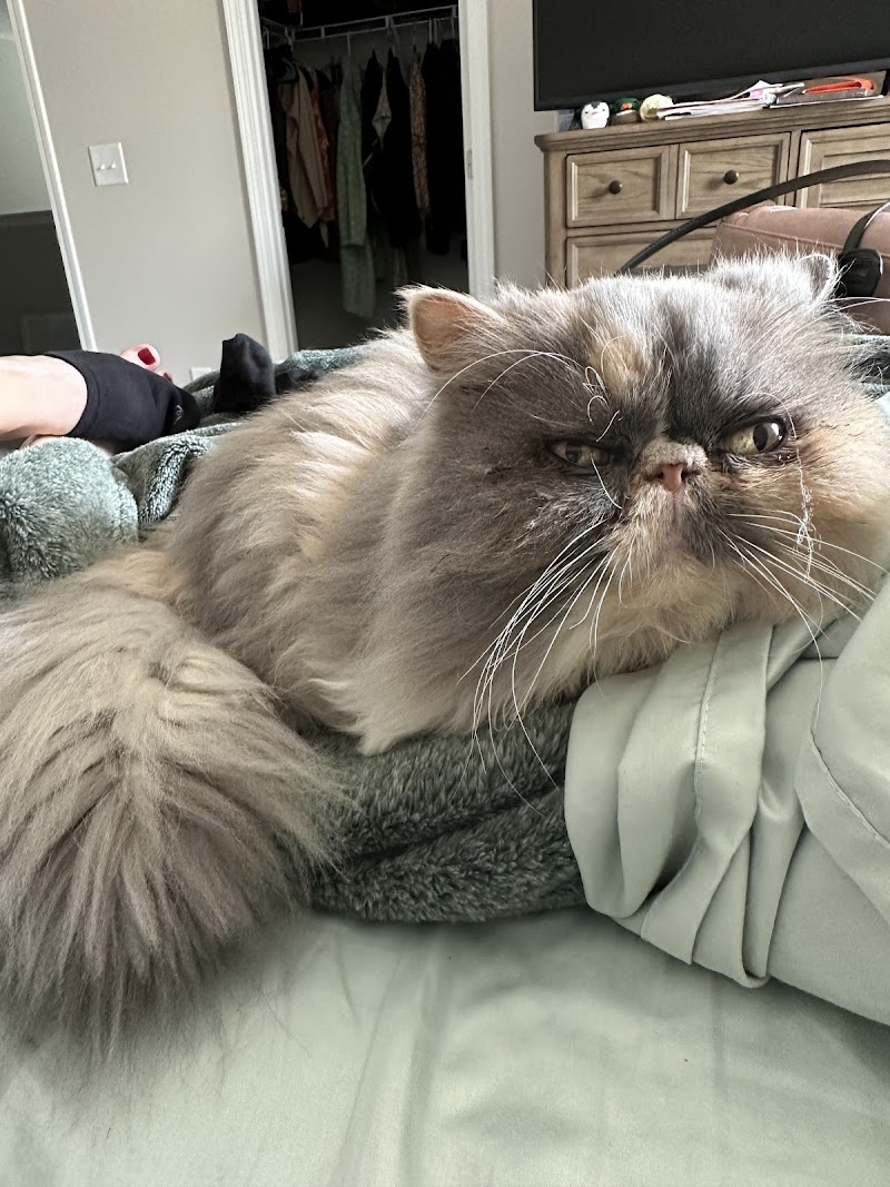 Topsail Animal Hospital — photo 2 of pet services in Hampstead, NC