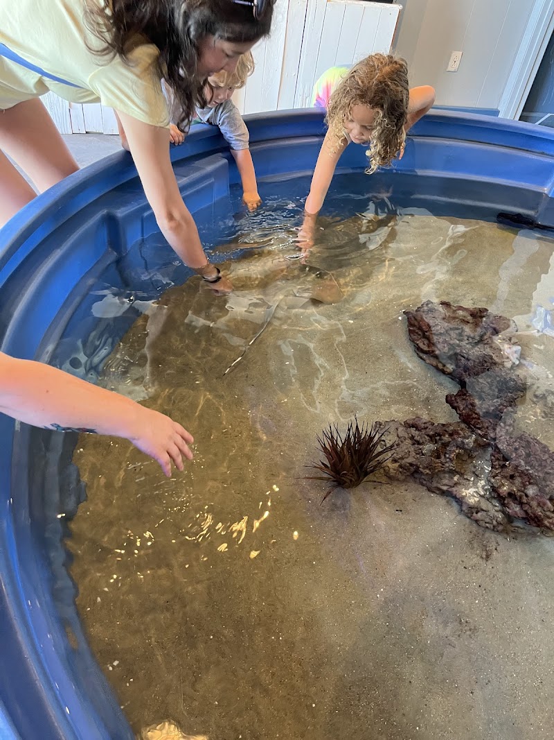 Topsail Aquarium — photo 2 of attraction in Surf City, NC