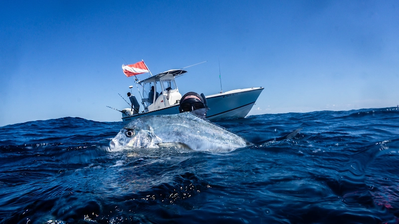 Topsail Island Fish & Dive Adventures fishing charter in Holly Ridge, NC — Topsail Island