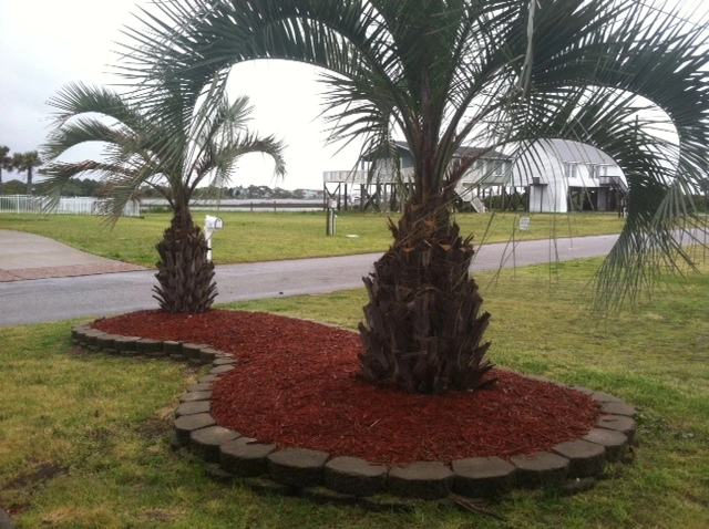 Topsail Moonlight Management LLC landscaping services in North Topsail Beach, NC
