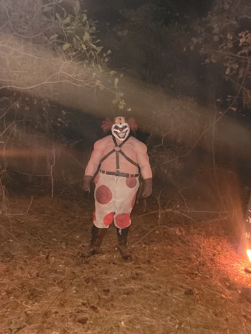 Wild Hare Sanctuary — photo 2 of attraction in Surf City, NC