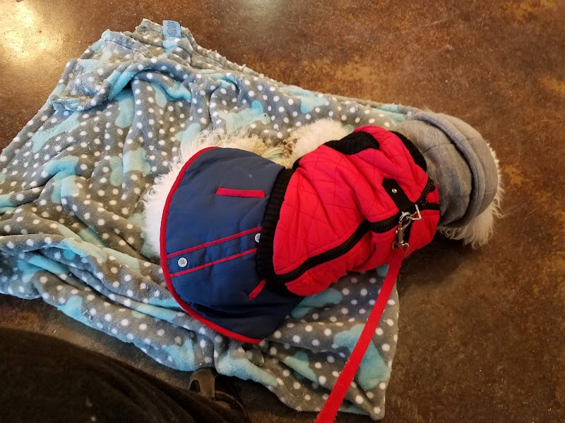 Yopp's Tire & Garage — photo 2 of auto repair shop in Sneads Ferry, NC