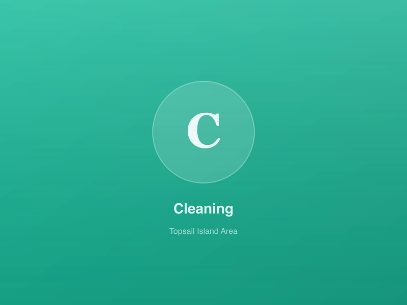 Tammy’s Touch Cleaning - cleaning placeholder