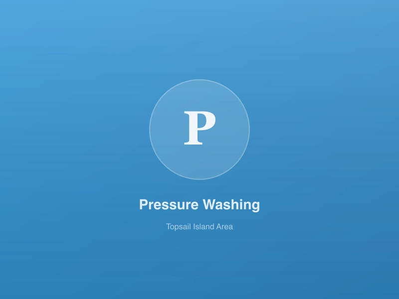 Dirty Details Pressure Washing - pressure washing placeholder
